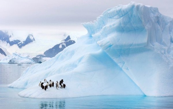 В Арктике исчезнет весь лед к 2050 году - «Наука»