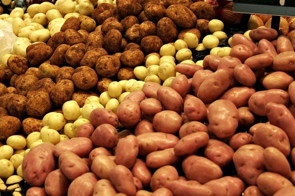 В Белоруссии на 90 дней ввели госрегулирование цен на основные продукты - «Новороссия»