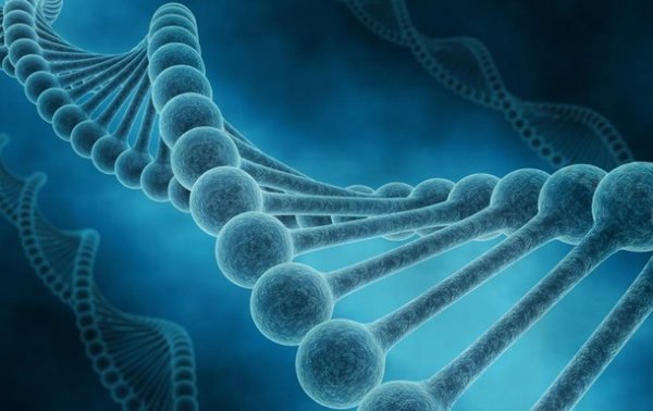 В ДНК человека нашли фрагмент, влияющий на тяжесть COVID-19 - «Наука»