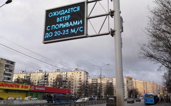 В Москве из-за сильного ветра повреждены 26 автомобилей - «Новороссия»