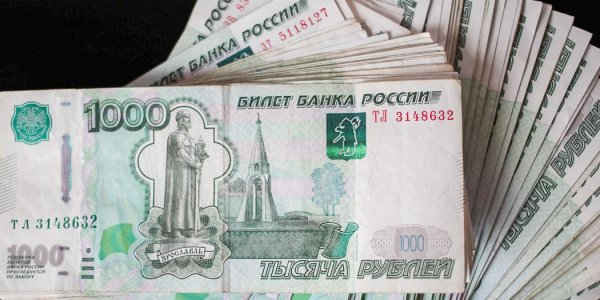 В России за 2019 год выросло количество осужденных за крупные взятки - «Политика»