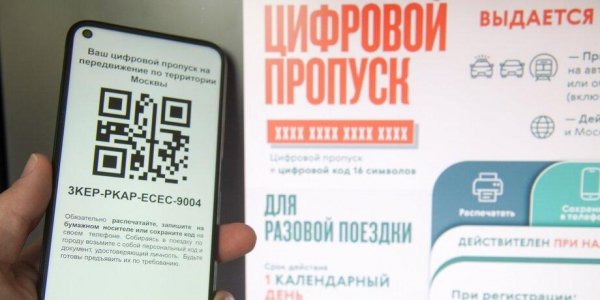 Жителям Москвы и области разъяснили, как ездить на дачу и к родственникам - «Политика»