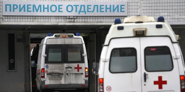 Жительница Москвы "сдала" полиции сына, заболевшего COVID-19 и нарушившего карантин - «Политика»