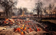 На Житомирщине лесной пожар уничтожил 40 домов - «Фото»