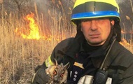 Под Киевом с сухостоем сгорела масса животных - «Фото»