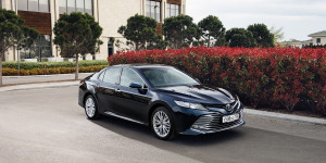 Более 50 новых Toyota Camry случайно нашли в лесу - «Автоновости»