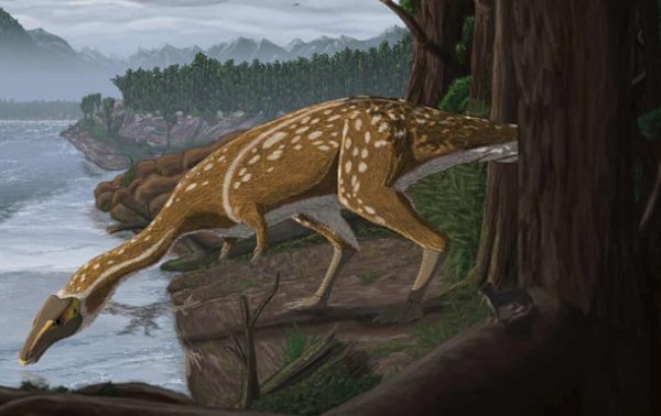 Археологи нашли останки редчайшего динозавра - «Наука»