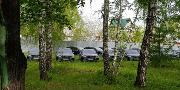 Более 50 новых Toyota Camry случайно нашли в лесу - «Автоновости»