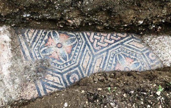 Древнеримскую мозаику обнаружили под виноградником в Италии - «В мире»