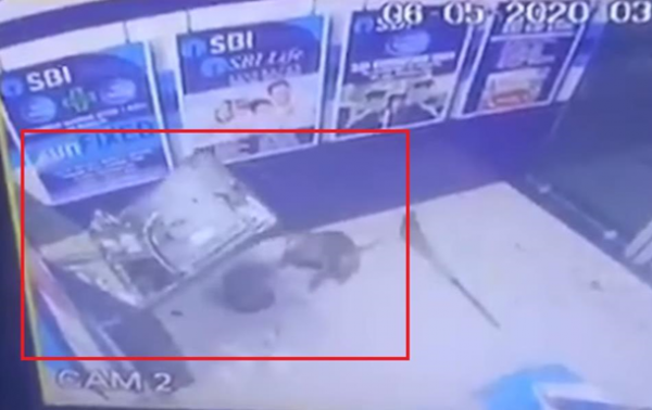 На видео попал взлом банкомата обезьяной - «В мире»
