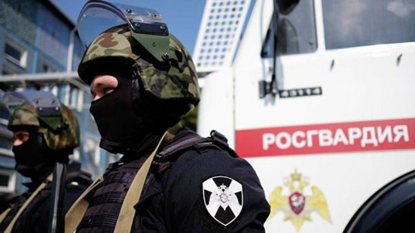 Под Челябинском сотрудник Росгвардии спас село от пожара - «Новороссия»