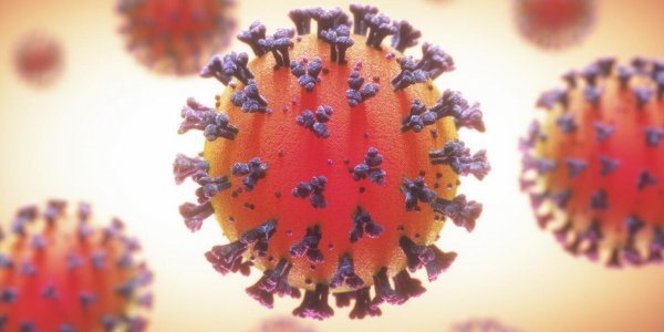 Роспотребнадзор рассказал о влиянии теплой погоды на коронавирус - «Политика»
