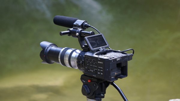 Роспотребнадзор разрешил возобновить киносъёмки Петербурге - «Новороссия»