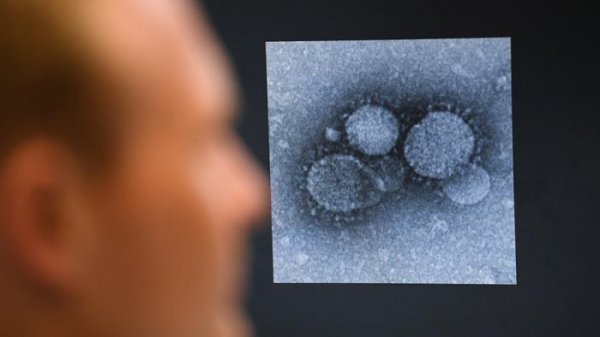 Учёные определили невосприимчивых к коронавирусу людей - «Новороссия»