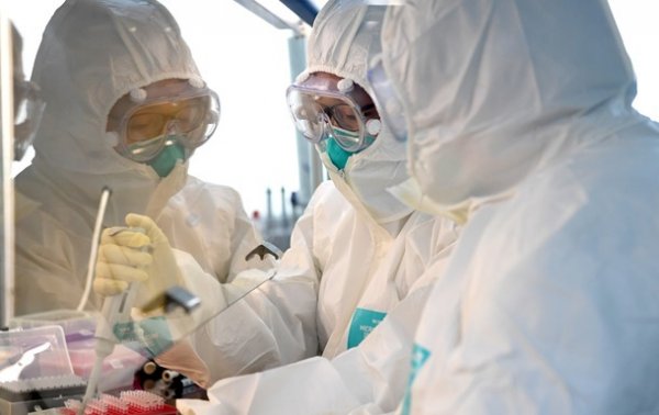 Ученые выявили людей, невосприимчивых к коронавирусу - «В мире»