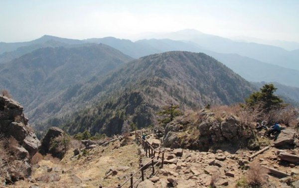 В Южной Корее в горах упал спасательный вертолет - «В мире»