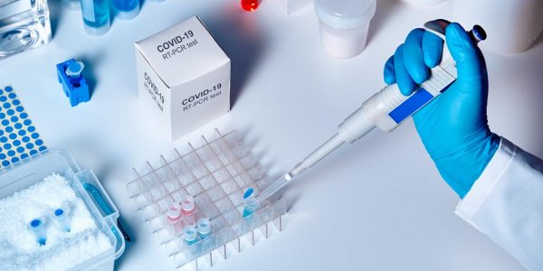В МВД назвали размер штрафа за отказ проходить тестирование на COVID-19 - «Политика»