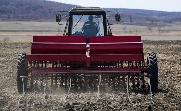 Завалить мир хлебом русским аграриям помешают понты Минсельхоза и адское лето-2020 - «Общество»