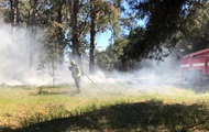 На Николаевщине из-за поджога в трех районах горел лес - «Фото»