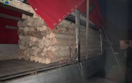 На Закарпатье задержали грузовики с древесиной на миллион - «Фото»
