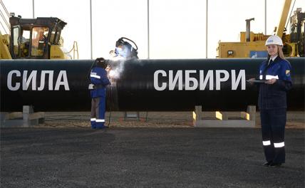 Народное достояние: «Сила Сибири» принесет России 1,5 триллиона убытков и оставит без газа - «Экономика»