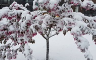 Восточную Европу засыпало снегом - «Фото»