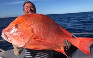 Австралиец поймал самую большую рыбу в жизни и отдал ее - «Фото»