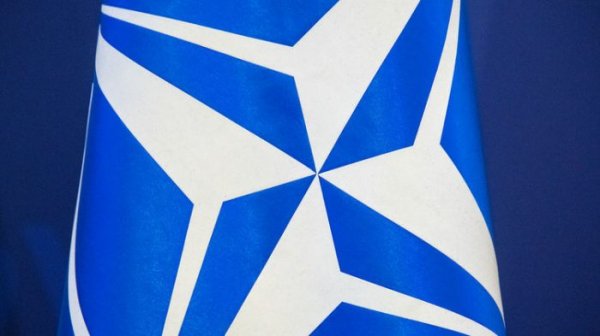 Генсек НАТО: Партнёрство с альянсом не разрешит спор Украины и Венгрии - «Новороссия»