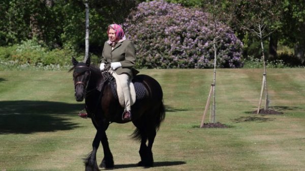 Королева Великобритании показалась публике верхом на коне - «Новороссия»