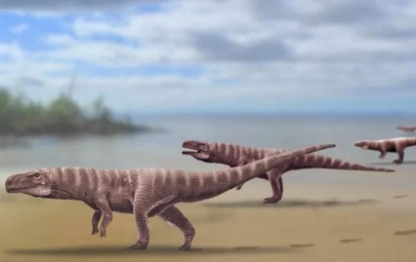 Найдены следы двуногого предка крокодилов - «Наука»