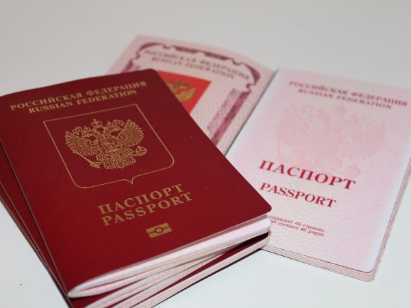 Украина пожаловалась в ООН на «насильственную паспортизацию» крымчан - «Новороссия»