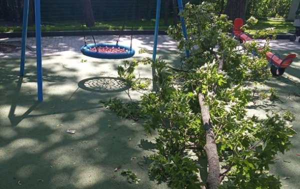В Харькове часть дерева упала на ребенка - (видео)