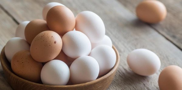Врачи назвали лучшие продукты для защиты легких от коронавируса - «Политика»