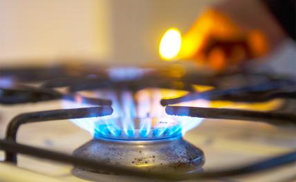 Сможет ли Сечин бесплатно провести газ в каждый дом - «Экономика»