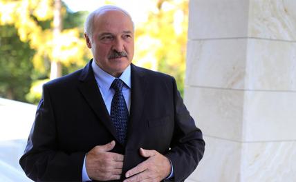 Союзники: Лукашенко предложил Кремлю подумать о большой политике - «Политика»