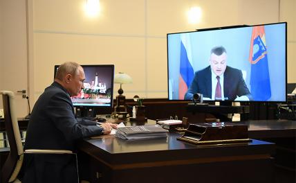 Тамбовский волк пандемии товарищ: Путин сохранит губернаторские кресла даже за аутсайдерами - «Политика»
