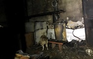 В Одессе во время пожара спасли сотни собак и котов - «Фото»