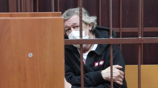 Адвокат Ефремова объяснил обращение актёра после ДТП - «Новороссия»