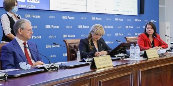 Эксперт: Памфилова сделала голосование по поправкам максимально безопасным - «Политика»