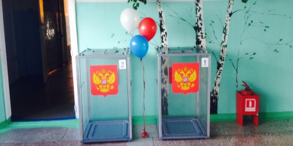 Эксперты высоко оценили организацию кампании по голосованию по Конституции - «Политика»