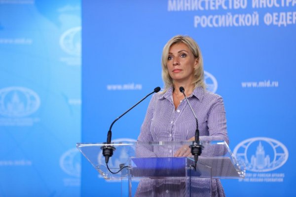 МИД РФ прокомментировал публикацию книги в Малайзии, посвященную катастрофе MH17 - «Новороссия»