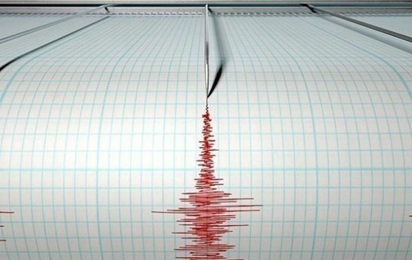 На Филиппинах произошло землетрясение - «В мире»