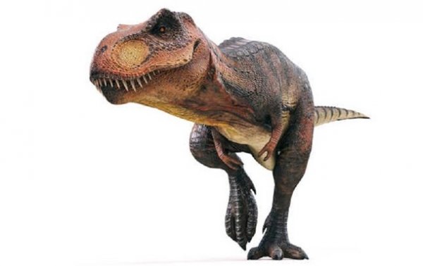 На Мадагаскаре обнаружен маленький предок динозавров - «Наука»
