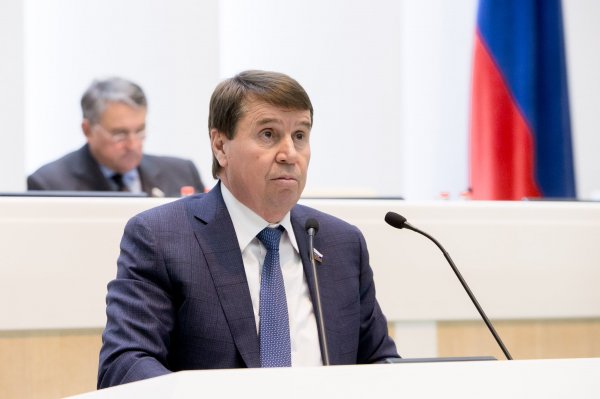 Сенатор: Украина состоялась благодаря России, поэтому Москва может выдвигать требования Киеву - «Новороссия»
