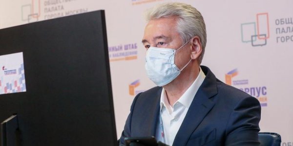 Собянин электронно проголосовал по поправкам в Конституцию - «Политика»