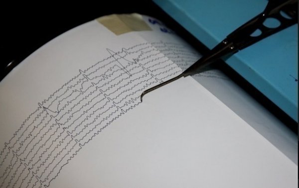 В Грузии зафиксировали землетрясение - «В мире»
