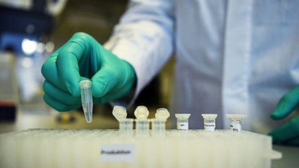 В России не будет принудительного вакцинирования от коронавируса - «Новороссия»
