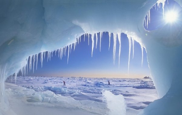Земле грозит новый ледниковый период - ученые - «Наука»