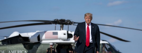 Журналисты обратили внимание на смену цвета волос Трампа - «Новороссия»