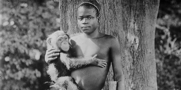 Зоопарк в Бронксе через 114 лет извинился за содержание темнокожего в клетке с обезьянами - «Политика»